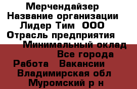 Мерчендайзер › Название организации ­ Лидер Тим, ООО › Отрасль предприятия ­ BTL › Минимальный оклад ­ 17 000 - Все города Работа » Вакансии   . Владимирская обл.,Муромский р-н